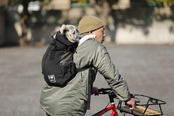 外遊びに愛犬と連れていこう! 犬に優しいバックパックでずっと一緒に楽しもう。