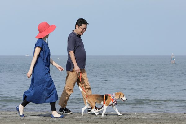 獣医師が薦めるNo.1サプリメントに注目