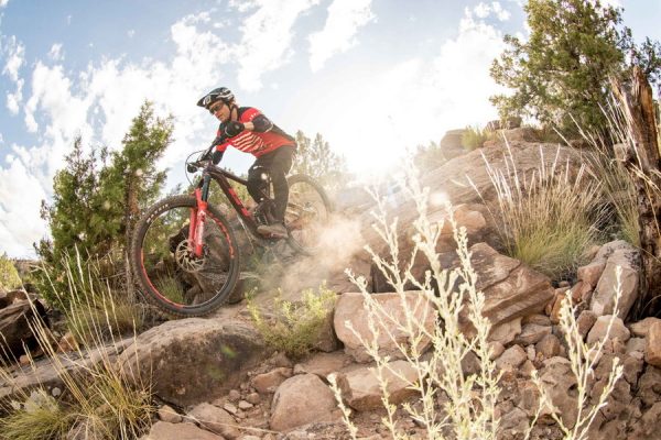 29erのオールマウンテン・エンデューロ向けMTB「Force 29」登場