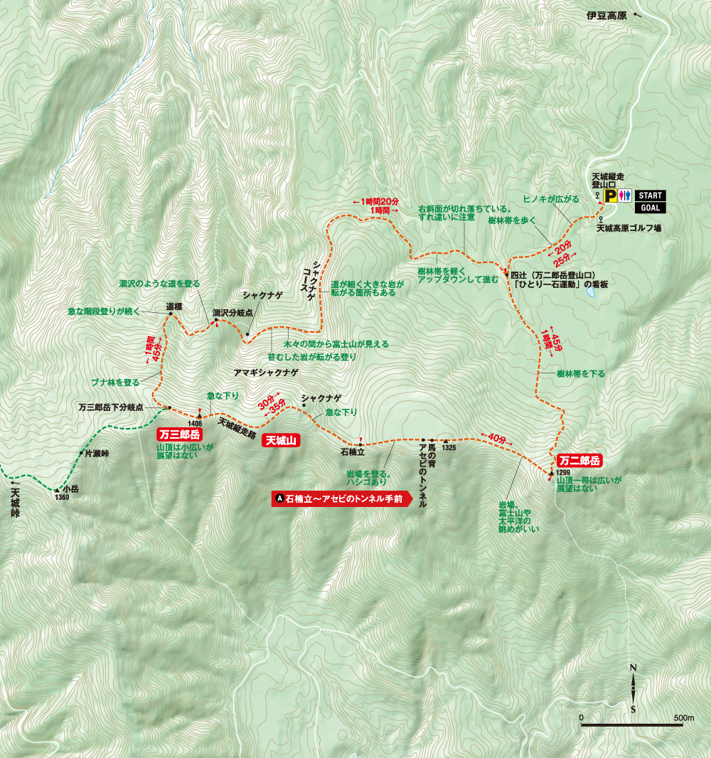 天城山 登山ルート「シャクナゲや深い樹林に覆われた伊豆半島の名山」 PEAKS