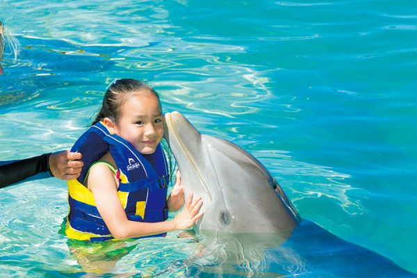 ハワイでイルカ&ウミガメに出会える人気ツアー7選!親子で楽しめるプログラムも♪