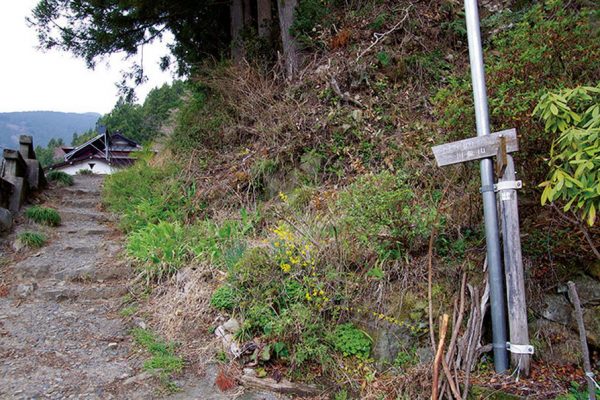 「棚沢」奥多摩エリア|登山口スポット【登山口】
