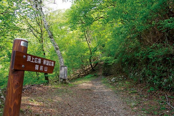 「小河内ダム(大ブナ尾根)」奥多摩エリア|登山口スポット【登山口】