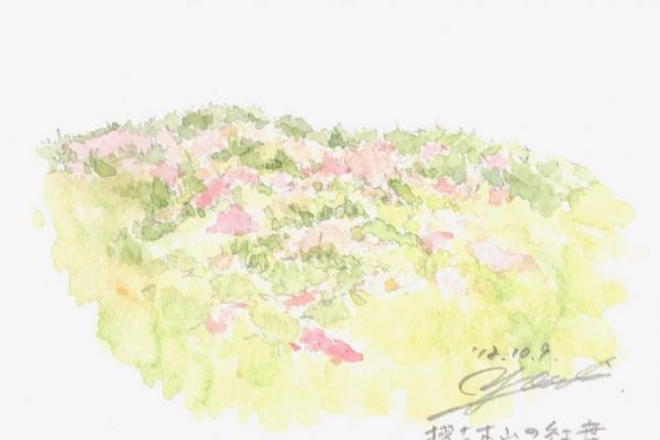 筆とまなざし #106「中央アルプスの南端、摺古木山への日帰りハイキング」