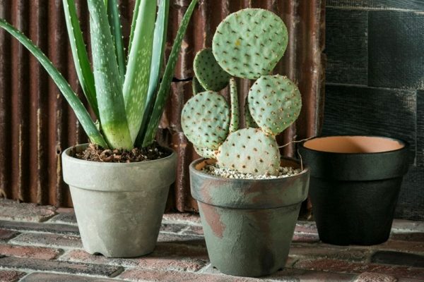プランターをおしゃれにDIY! ミリタリー&アイアン仕上げの塗装に挑戦。