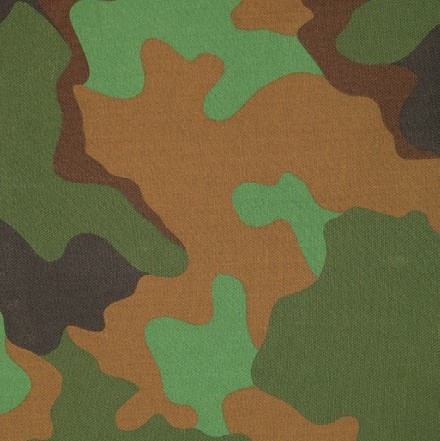 ファッション用語辞典 迷彩柄 実物 の種類 名称 Funq Goo ニュース