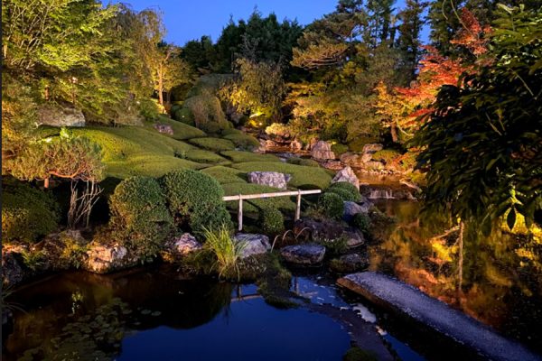 自宅から京のお庭を楽しむ オンラインイベント「オリジナルミニ枯山水づくり体験&退蔵院ライトアップ」開催