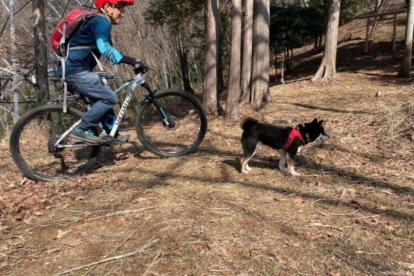 神奈川・秦野で地元有志がマウンテンバイクのコース整備を開始