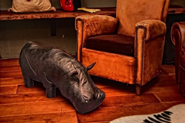 「リアルマッコイズ」の動物たちと暮らしてみない?