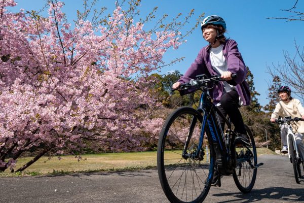 瀬戸内のゆめしま海道・桜の島でお花見ライド