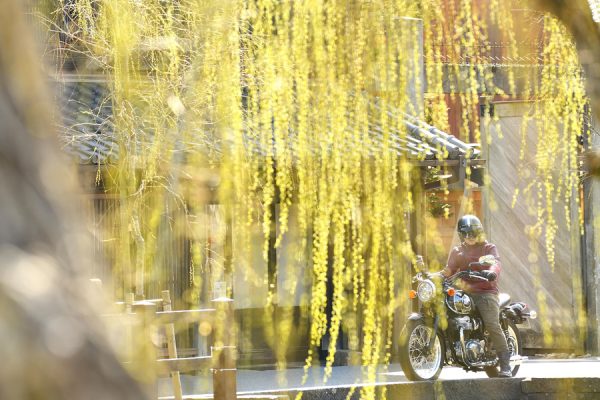 KAWASAKI MIDDLE CLASS SPORT KAWASAKI MEGURO K3 郷愁をかき立てるバーチカルツイン
