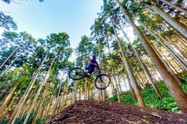 フォレストバイク・小田原にMTB専用コース「山の神エリア」がオープン