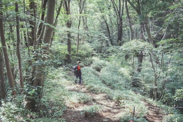 KEEN×ランドネ｜KEEN「TARGHEE IV（ターギー フォー）」で東京・高尾山を快適に楽しむモニターツアーを開催します！