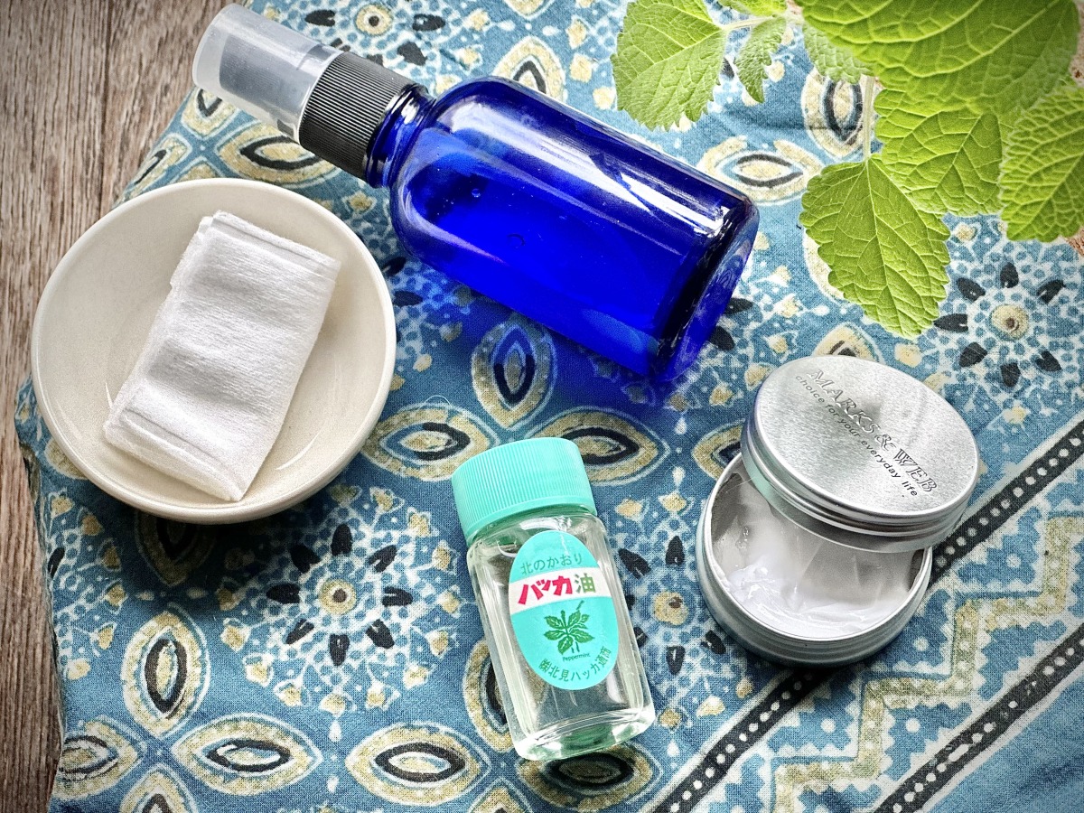 暑い夏こそ「ハッカ油」その理由は？／今月のレシピ【チョコミント