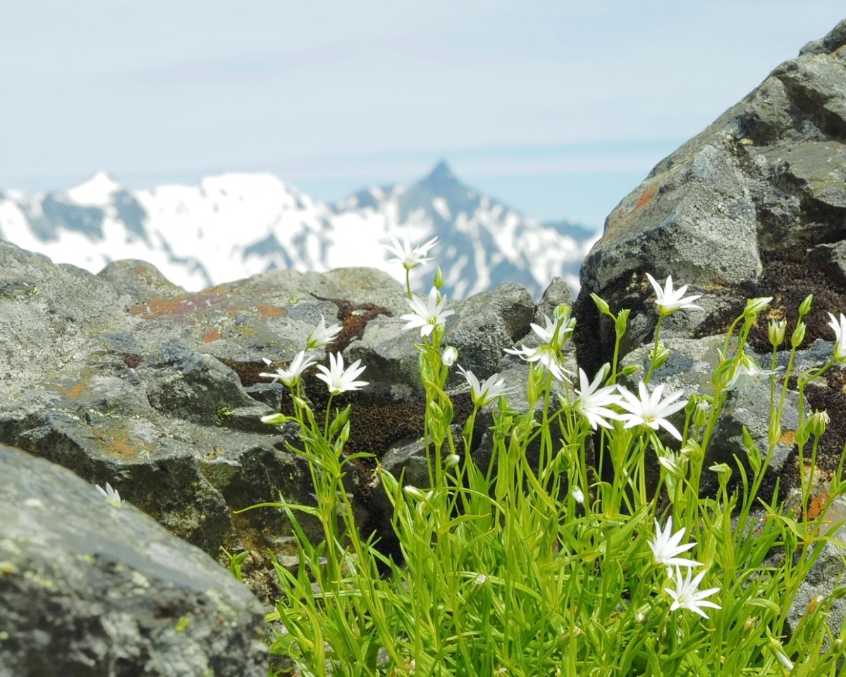 軽やかなミラーレス一眼カメラ「OM-5」とともに山のなかへ「OM-5