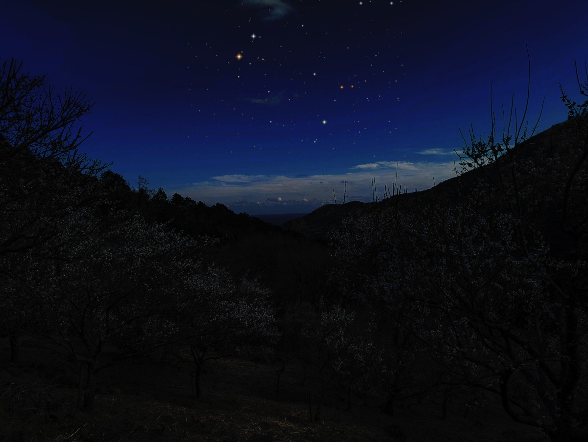 ふたご座流星群を見る山歩きへ 12月13日（金）夜から14日（土）明け方