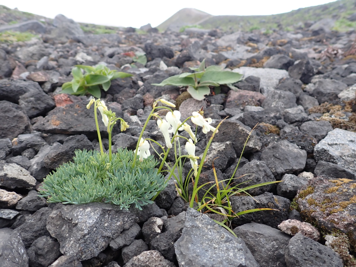 9f3b241e3c4e9a339712b2ded6d8ab