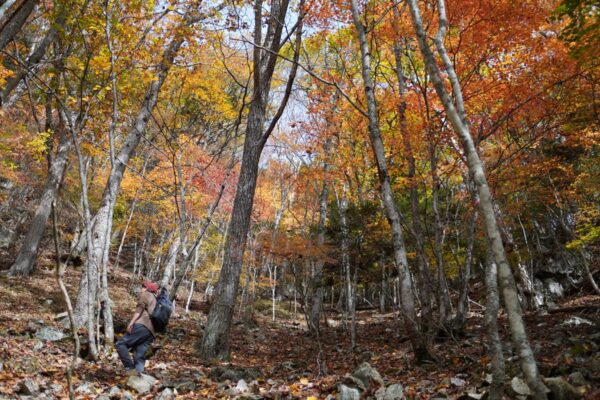 有珠山/御座山/舎羅林山/雁回山|アウトドアショップに聞く全国フィールド情報|PEAKS 2025年12月号