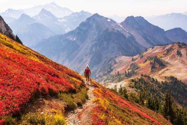 秋の登山、何を着る?|レディース向けレベル別レイヤリングコーデ3選