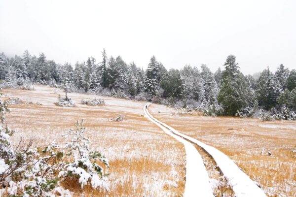 雪の降り始めた尾瀬へ|まだ知らない尾瀬ストーリー#14