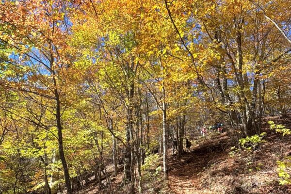 自分の“好き”に敏感になる!自然から学ぶ気づきで世界が広がる山歩き