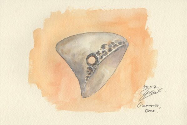 ジャンマリオからもらった、思い出のホールド｜筆とまなざし＃440