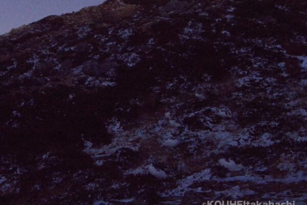 町内会会合｜旬のライチョウと雷鳥写真家の小噺 #59