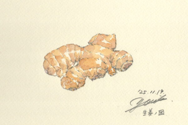 自家製ジンジャーシロップでBCAAをおいしく摂取｜筆とまなざし＃442