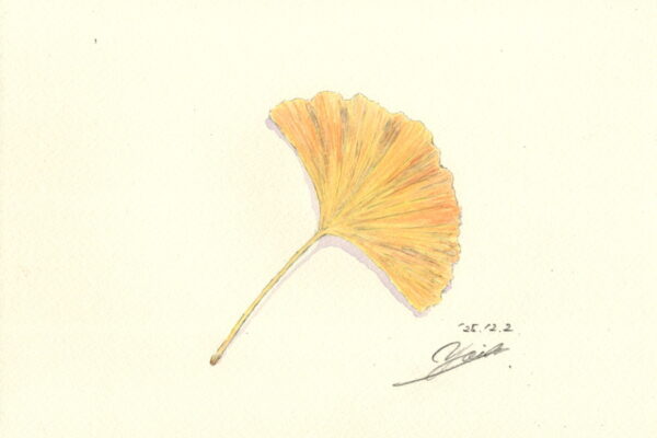 時空を越えるタイムマシンのように、いまと昔の自分を繋ぐ大銀杏｜筆とまなざし＃444