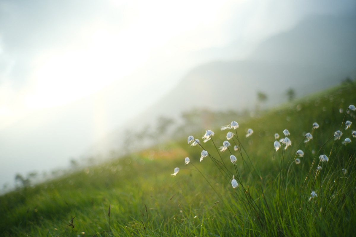 魔法のような時を心に刻む、いつもとはちょっと違う尾瀬へ