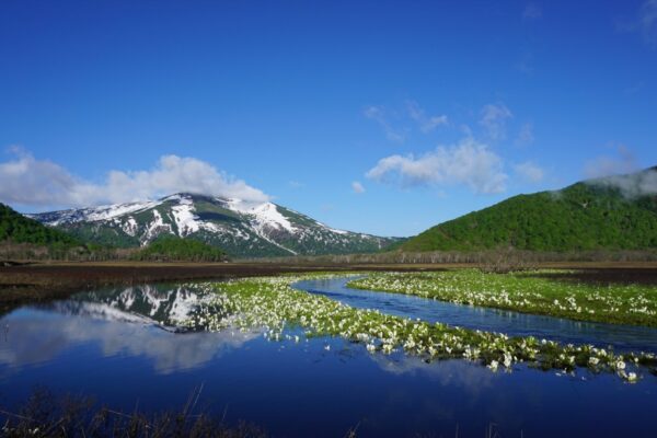 尾瀬の歩んできた30年と、これから先の未来について考える。尾瀬保護財団設立30周年記念フォーラム開催