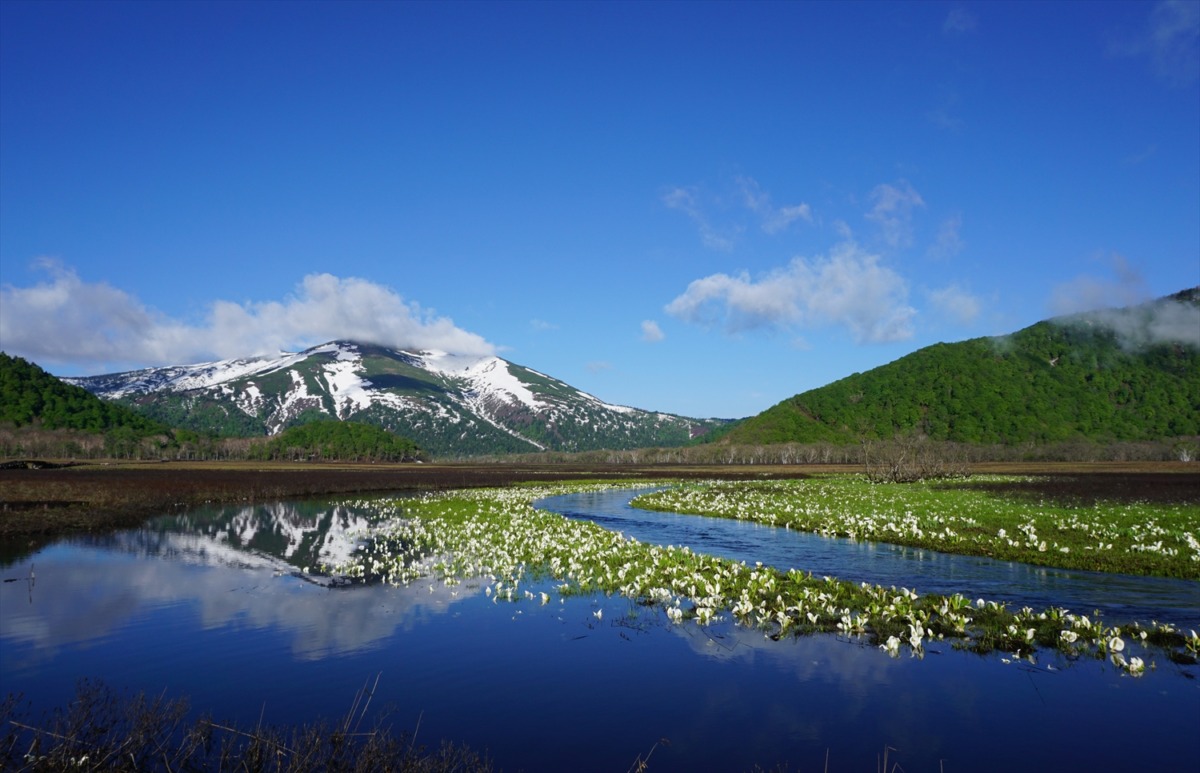 尾瀬の歩んできた30年と、これから先の未来について考える。尾瀬保護財団設立30周年記念フォーラム開催