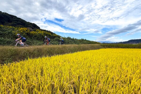 日本を味わう！　黄金KAIDOチャレンジライド550km