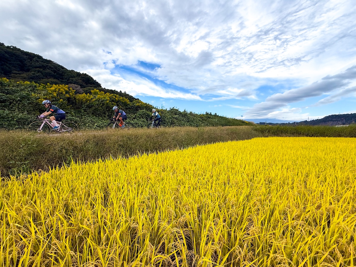 ゴールデンルート 日本を味わう！ 黄金KAIDOチャレンジライド550km | Bicycle Club