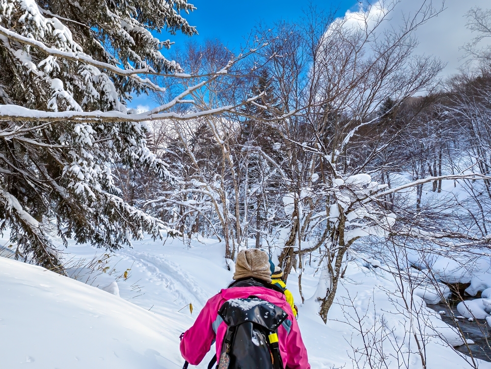 2026最新スノーシュー＆ハイク服装ガイド｜レディースおすすめコーデ20選