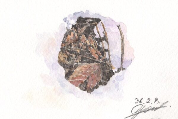 地域の公民館で開催する展覧会準備のためにアトリエ小屋へ｜筆とまなざし＃452