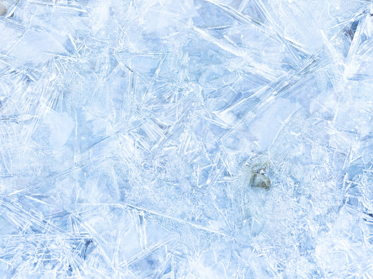 都心から約1時間。五感を解き放つ「冬の飯能」を全身で見つめる山歩き