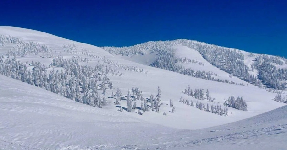 霧氷天国！樹氷と真っ白な稜線 豪雪地新潟の厳冬期巻機山登山