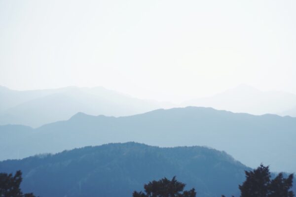 【100楽山／奥高尾縦走路】”五感”で愉しむ17km。私の好きな春の山歩き