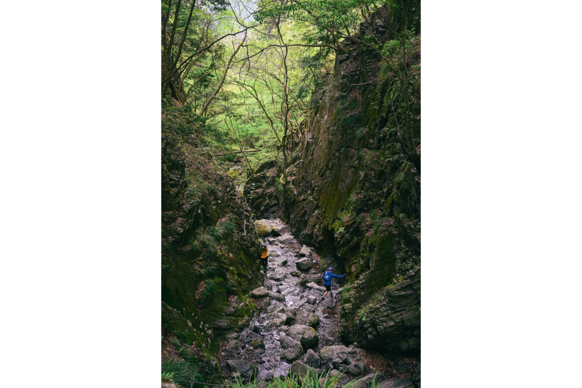 【100楽山／棒ノ折山】沢の音と、山頂の桜を楽しむ山時間。私の好きな春の山歩き