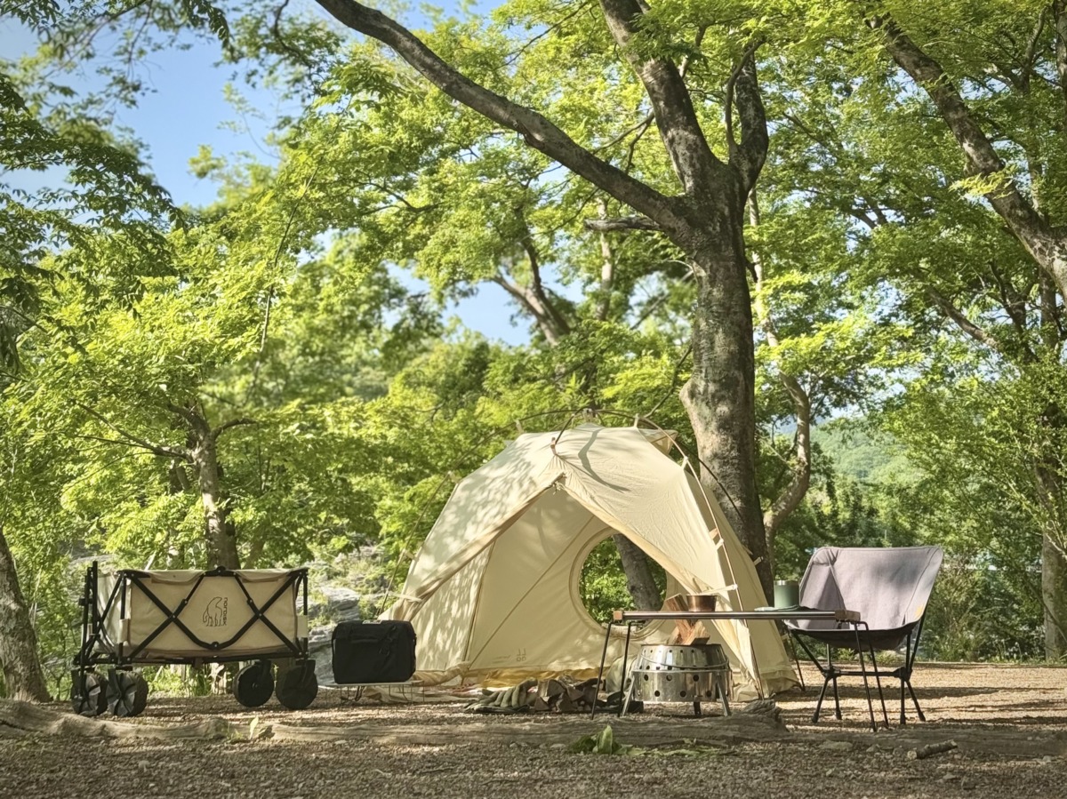 1年間のまとめ／今月のレシピ【ポリ袋オムライス】| CAMMOCの「キャンプしてたら防災できた！」#46