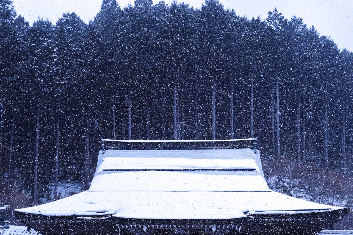 深々と雪降る聖地。静寂の高野山、心を洗う冬の旅