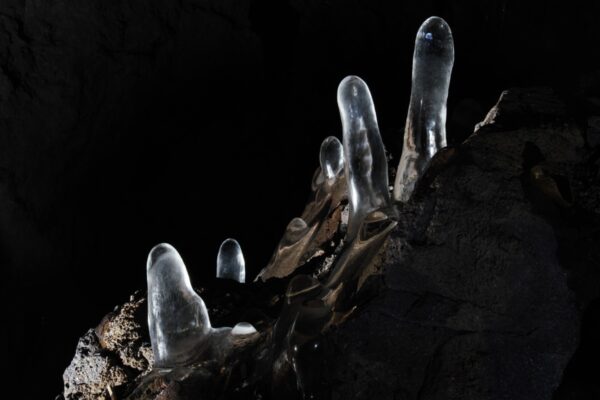 富士山の地下にある洞窟に潜ってみた！—火山の記憶の上に育つ森のなかへ—