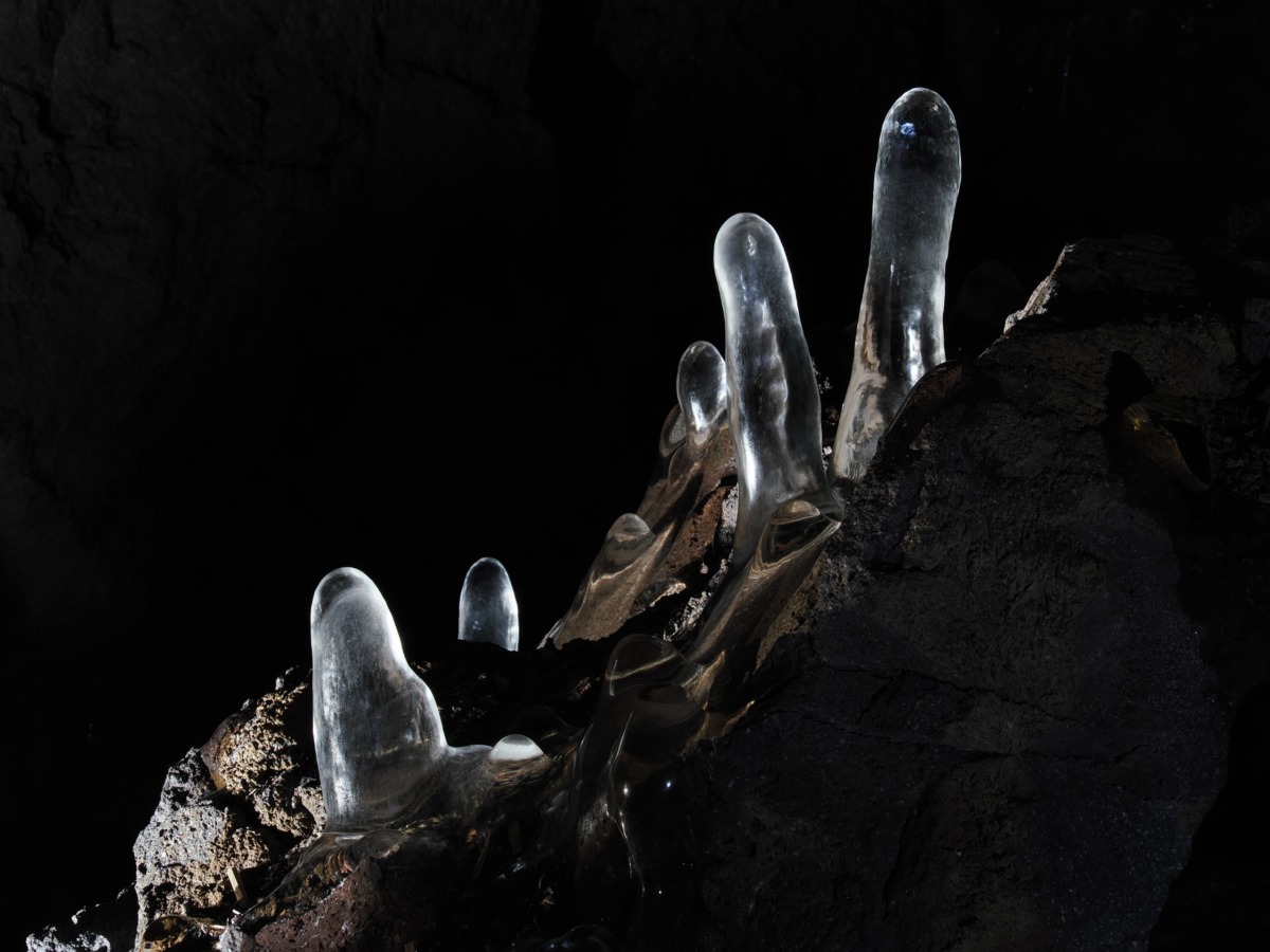 富士山の地下にある洞窟に潜ってみた！—火山の記憶の上に育つ森のなかへ—