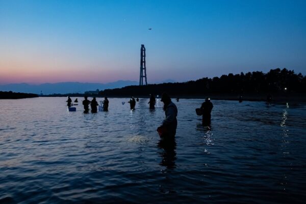 春の富山で、ホタルイカを採って食べる｜こいしゆうかさんのキャンプ旅と簡単パスタ