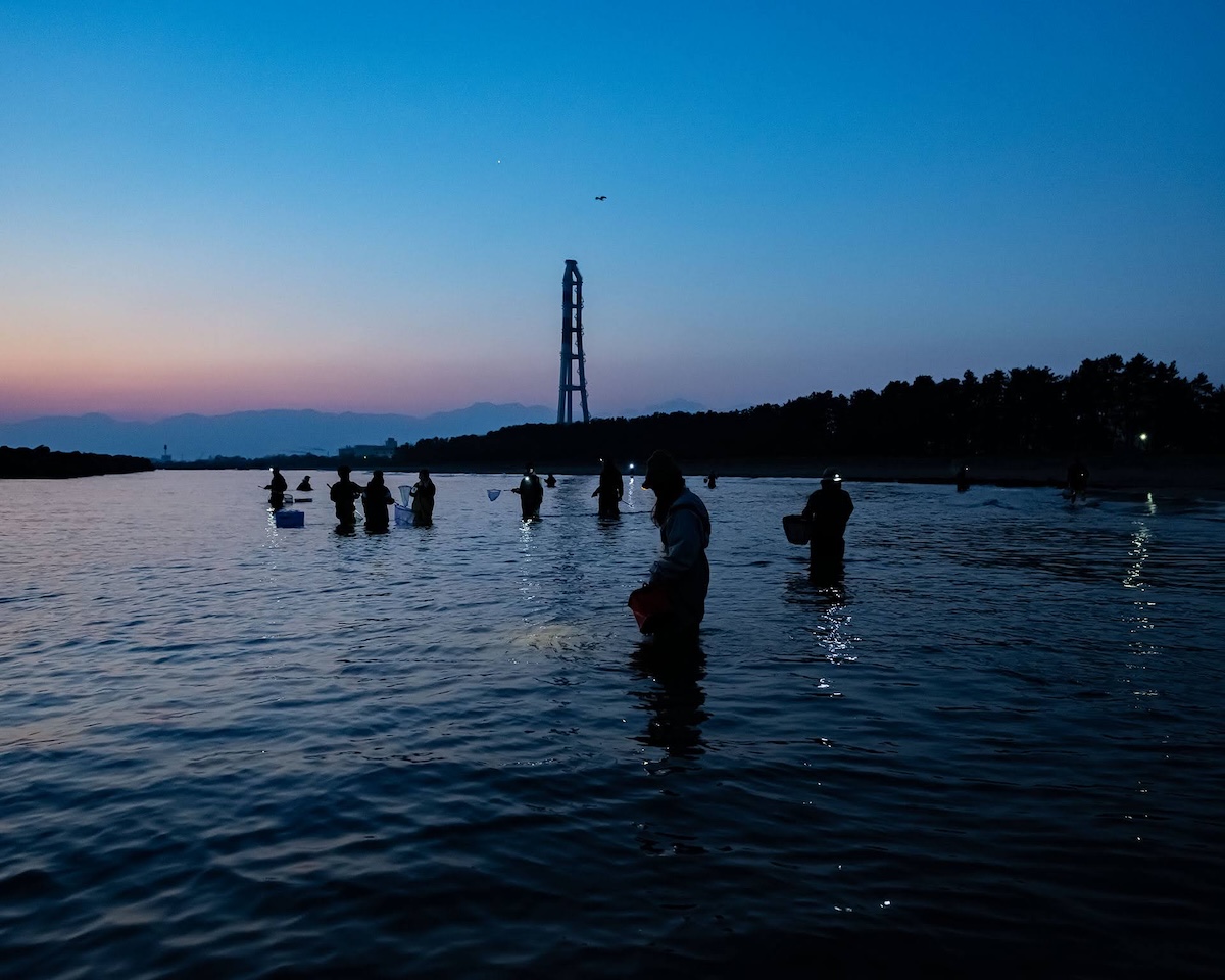 春の富山で、ホタルイカを採って食べる｜こいしゆうかさんのキャンプ旅と簡単パスタ