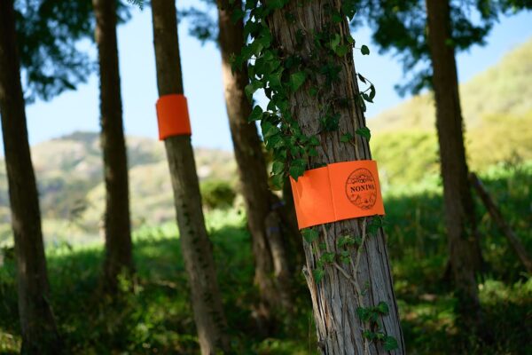 昼寝インフラ整備中｜アウトドアタウンときがわで里山遊び＃38