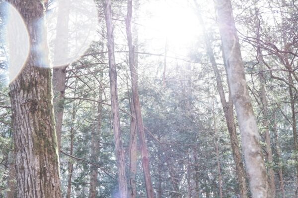 「好き」の答えは、獣道の先に。狩猟家と山に溶け込みながら見つけたもの