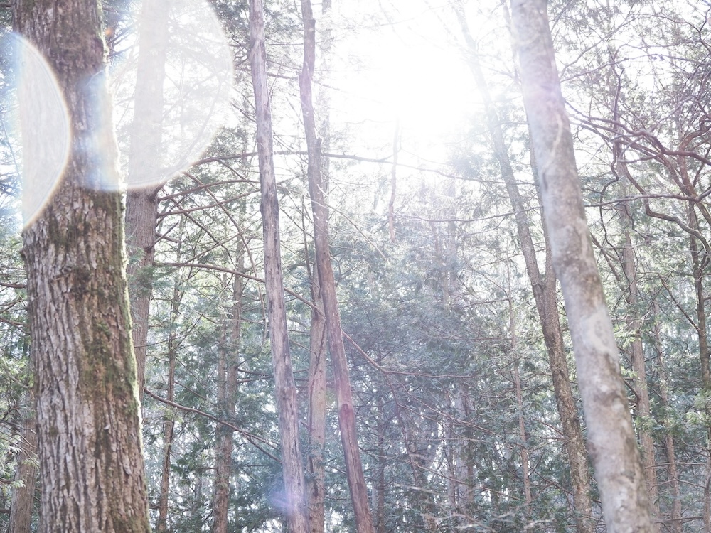 「好き」の答えは、獣道の先に。狩猟家と山に溶け込みながら見つけたもの