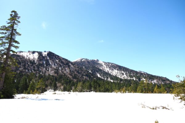 2026年尾瀬シーズンが始まりました！｜まだ知らない尾瀬ストーリー#19